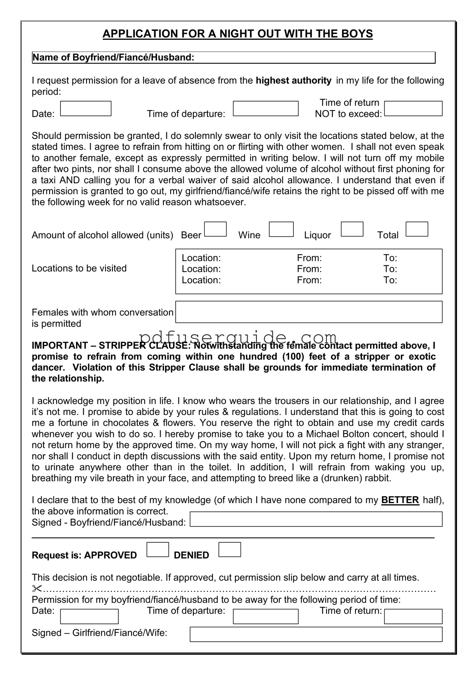 Free Application For Night Out With Boys Form in PDF