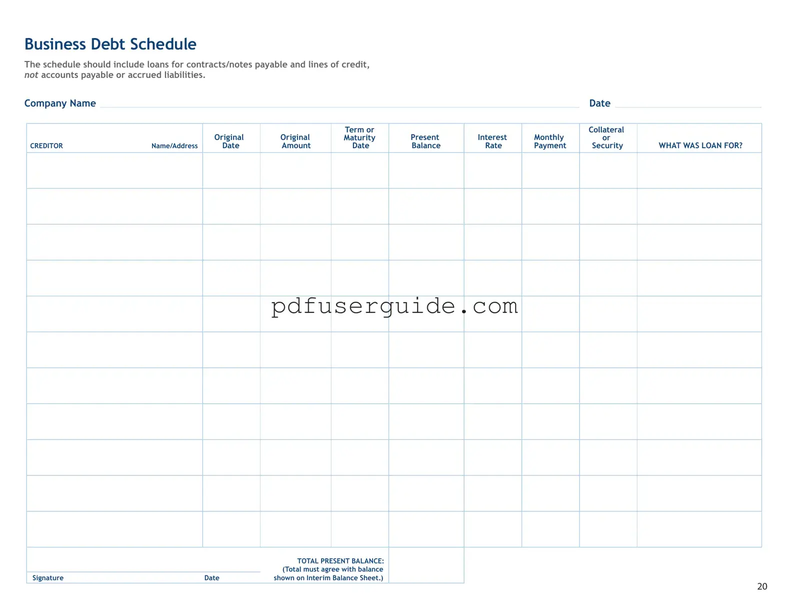 Free Business Debt Schedule Form in PDF
