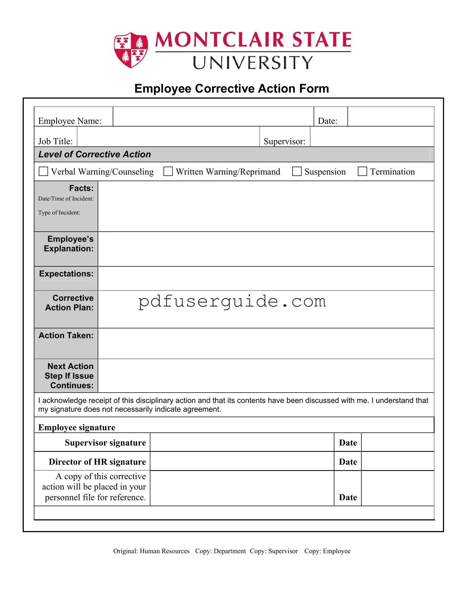 Free Corrective Action Form in PDF