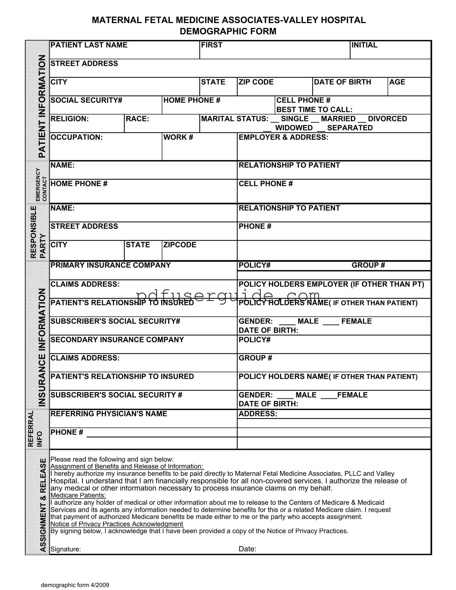 Free Patient Demographics Form in PDF