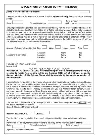 Free Application For Night Out With Boys Form in PDF