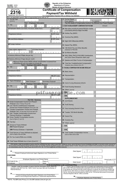 Free Bir 2316 Form in PDF