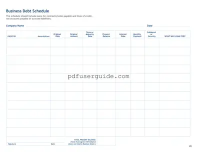 Free Business Debt Schedule Form in PDF