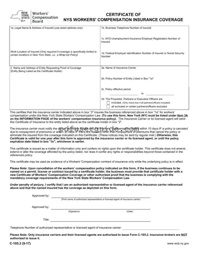 Free C 105 2 Form in PDF
