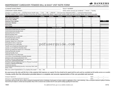 Free Caregiver Daily Log Form in PDF