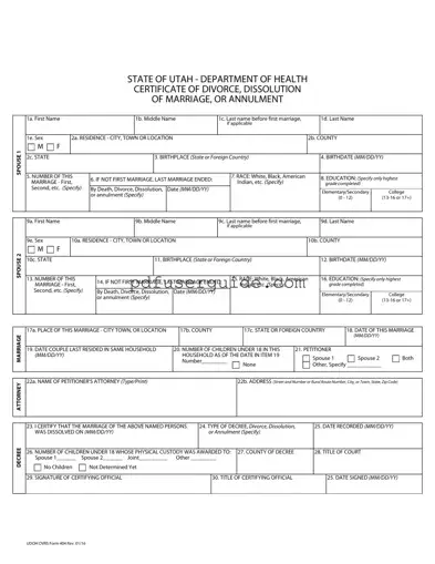 Free Divorce Certificate Form in PDF