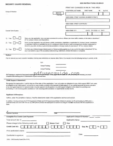 Free Dos 1246 Form in PDF