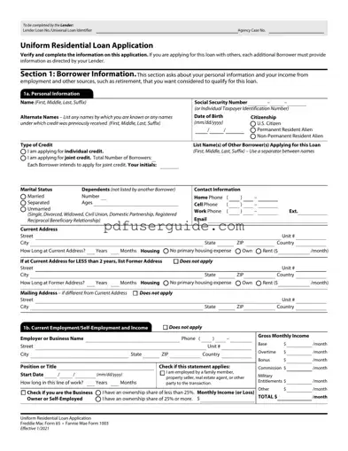 Free Freddie Mac 65 Form in PDF