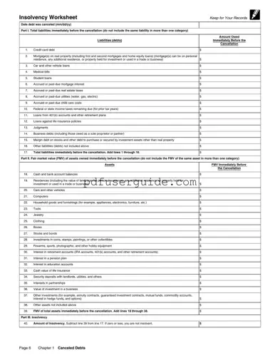 Free Insolvency Irs Form in PDF