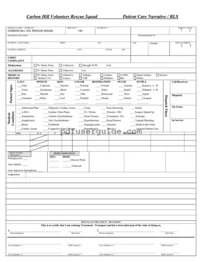 Free Patient Care Report Form in PDF
