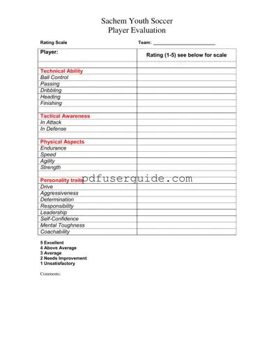 Free Soccer Player Evaluation Form in PDF