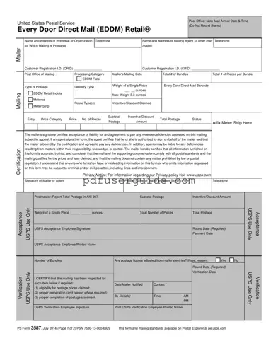 Free Usps 3587 Form in PDF