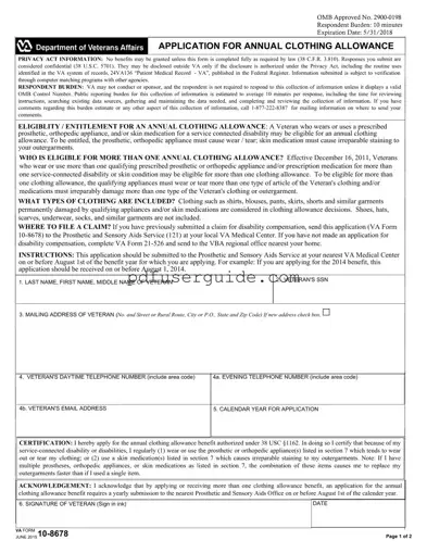 Free Va 10 8678 Form in PDF