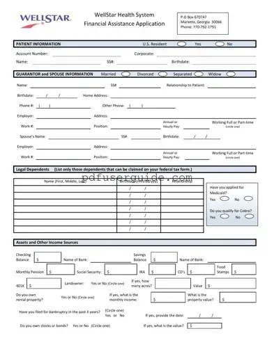 Free Wellstar Financial Assistance Application Form in PDF