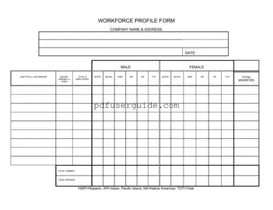 Free Workforce Profile Form in PDF