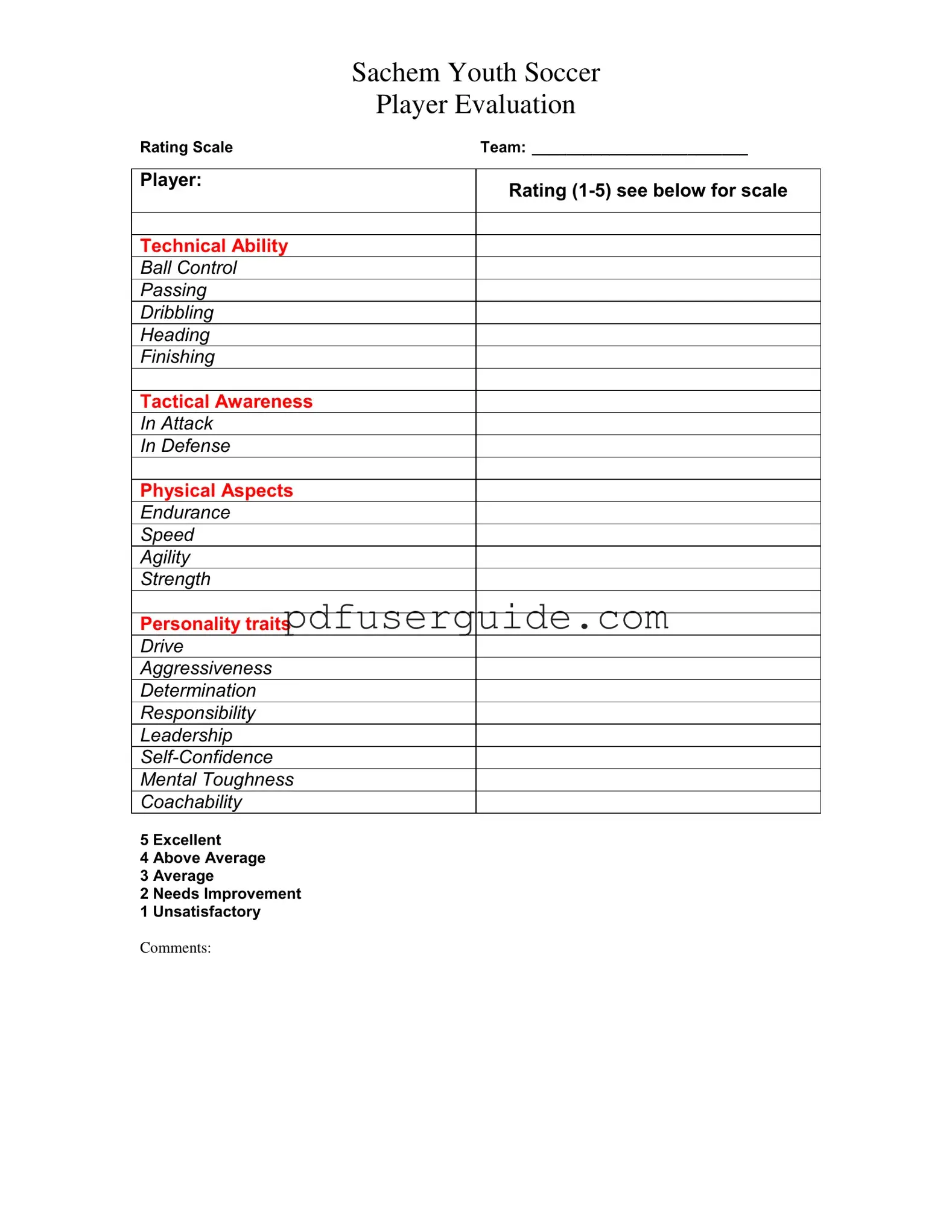 Free Soccer Player Evaluation Form in PDF