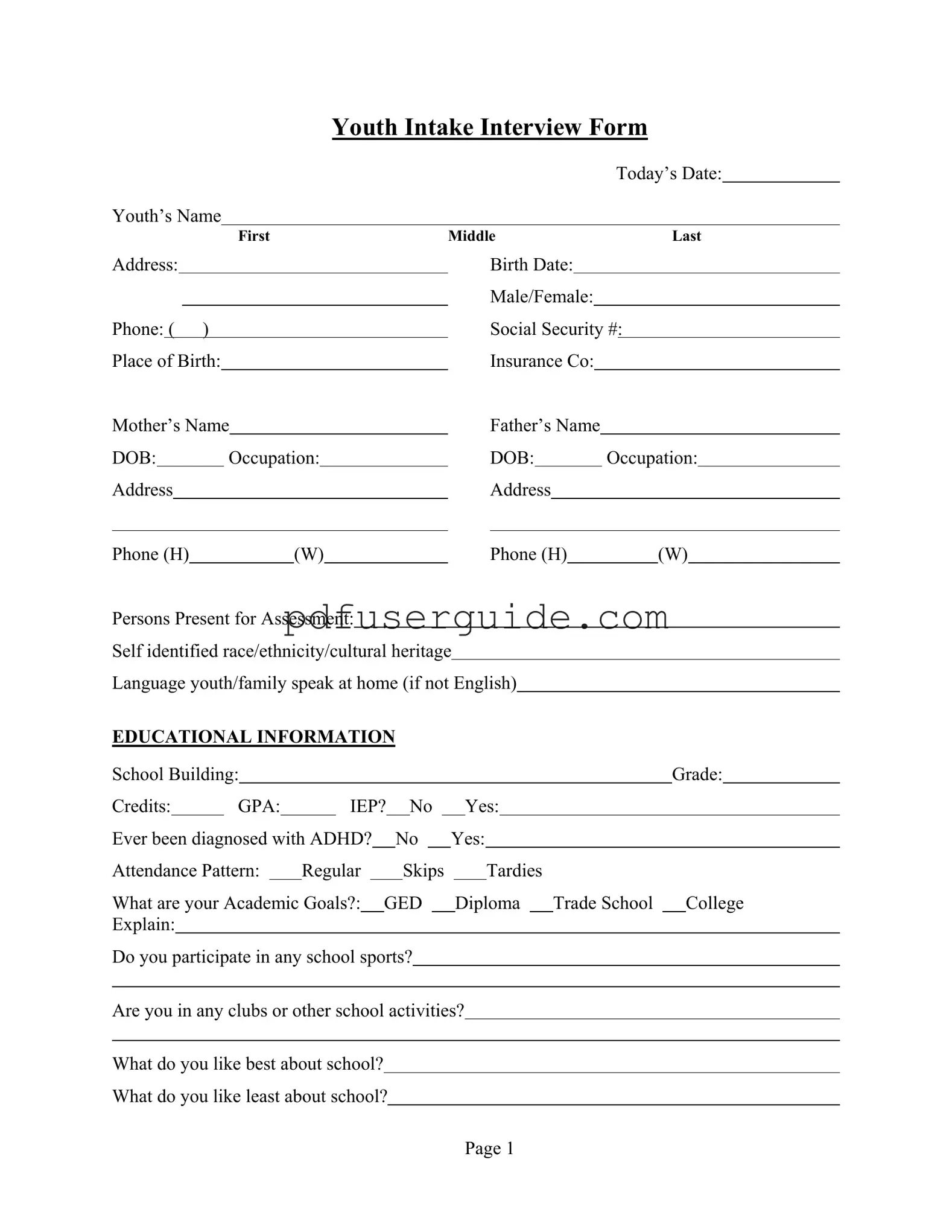 Free Youth Intake Interview Form in PDF